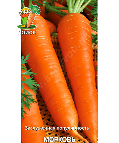 Морковь Королева Осени семена 