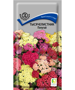 Тысячелистник Попугай Тысячелистник Попугай