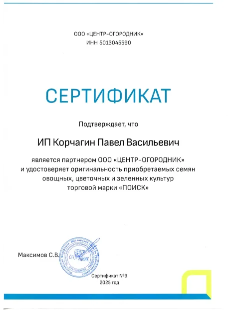 Лук батун Русский зимний семена 