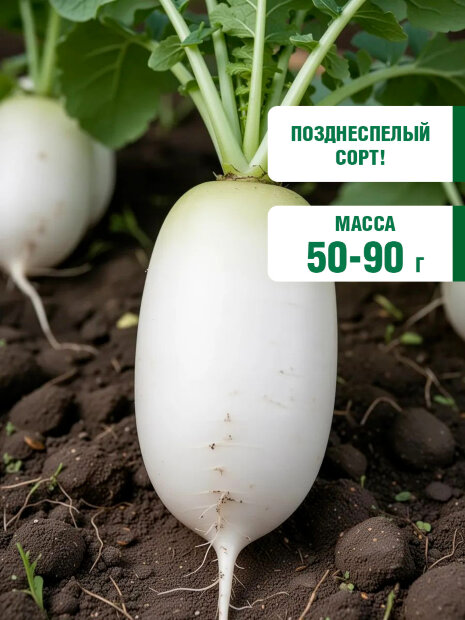 Редис Осенний гигант семена 