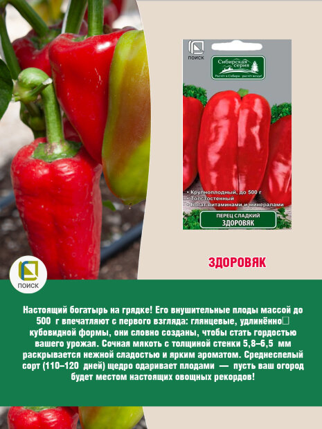 Перец сладкий Здоровяк семена 