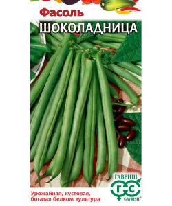 Фасоль Шоколадница Фасоль Шоколадница